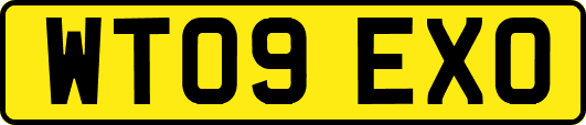 WT09EXO