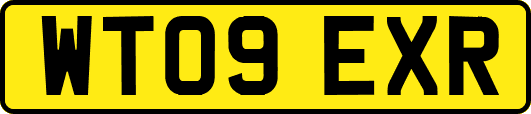 WT09EXR