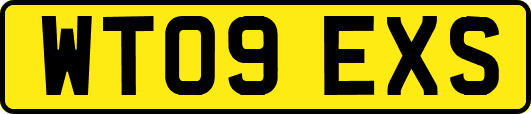 WT09EXS