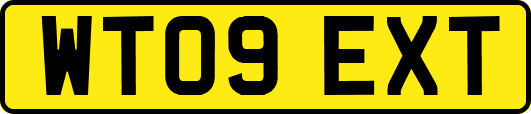 WT09EXT