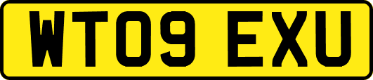 WT09EXU