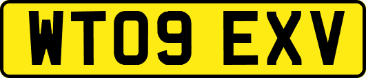 WT09EXV