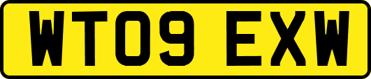 WT09EXW