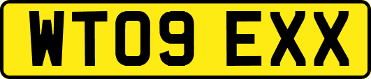 WT09EXX