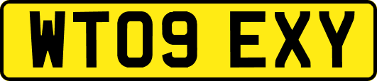 WT09EXY