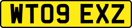 WT09EXZ