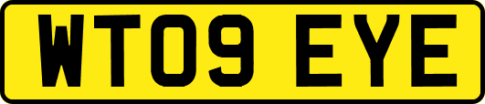 WT09EYE