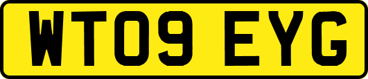 WT09EYG