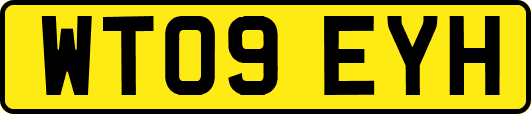 WT09EYH