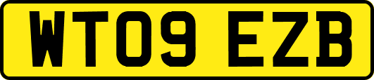 WT09EZB