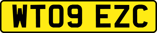 WT09EZC
