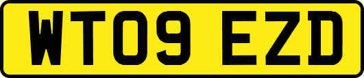 WT09EZD