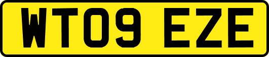 WT09EZE
