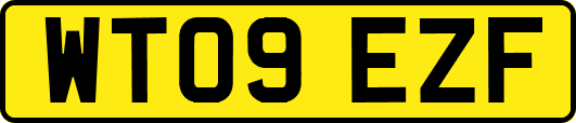 WT09EZF