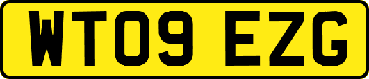 WT09EZG