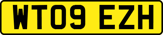 WT09EZH