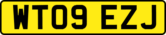 WT09EZJ
