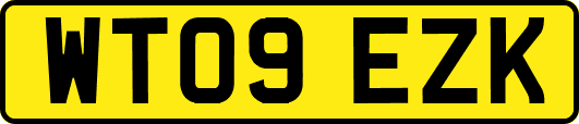 WT09EZK