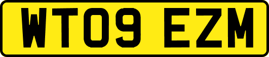 WT09EZM
