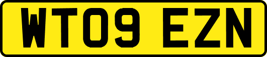 WT09EZN