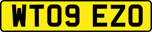 WT09EZO