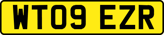 WT09EZR