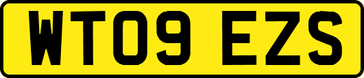 WT09EZS