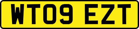 WT09EZT