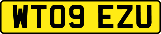 WT09EZU
