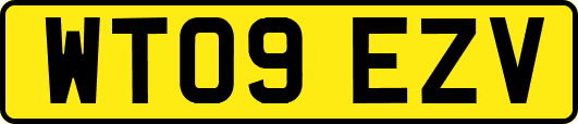 WT09EZV