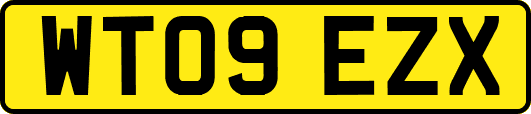 WT09EZX