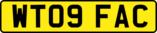 WT09FAC
