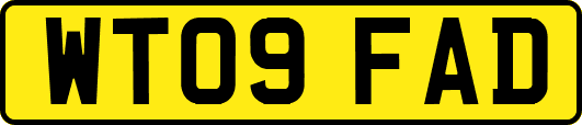 WT09FAD
