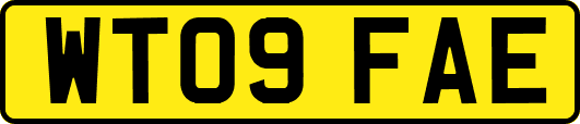 WT09FAE