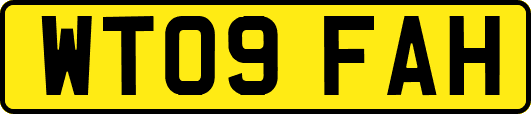 WT09FAH
