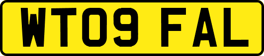 WT09FAL
