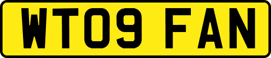 WT09FAN