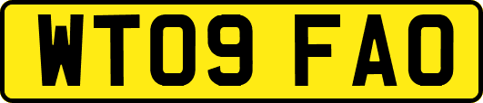 WT09FAO