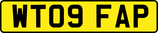 WT09FAP