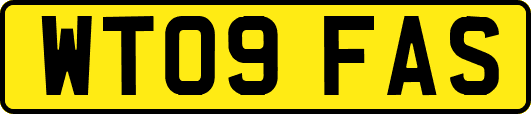 WT09FAS