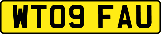 WT09FAU