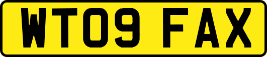 WT09FAX