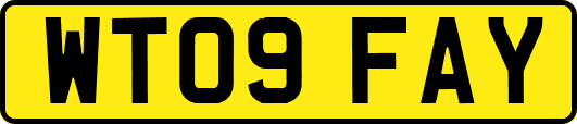 WT09FAY