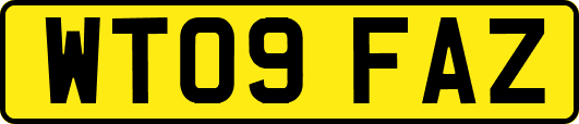 WT09FAZ