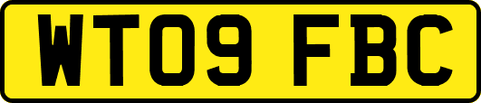 WT09FBC