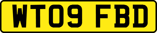WT09FBD