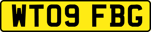 WT09FBG