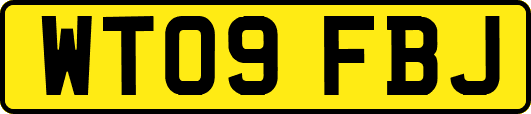 WT09FBJ