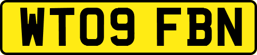 WT09FBN