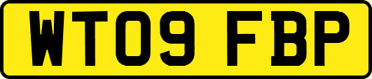 WT09FBP